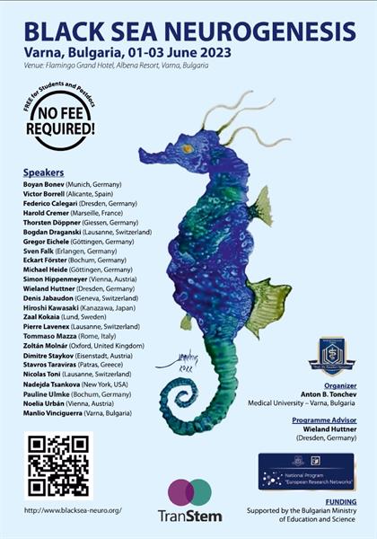 MU-Varna Organises the Second International Scientific Forum “Black Sea Neurogenesis”