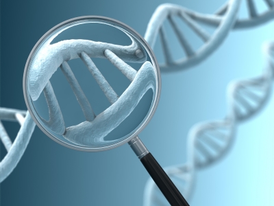 A magnifying glass focussing on a section of a DNA strand.  Very high resolution 3D render.